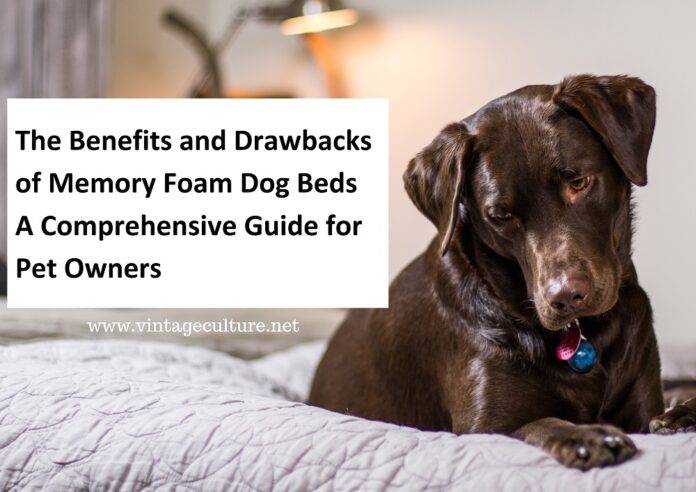 Memory Foam Dog Beds