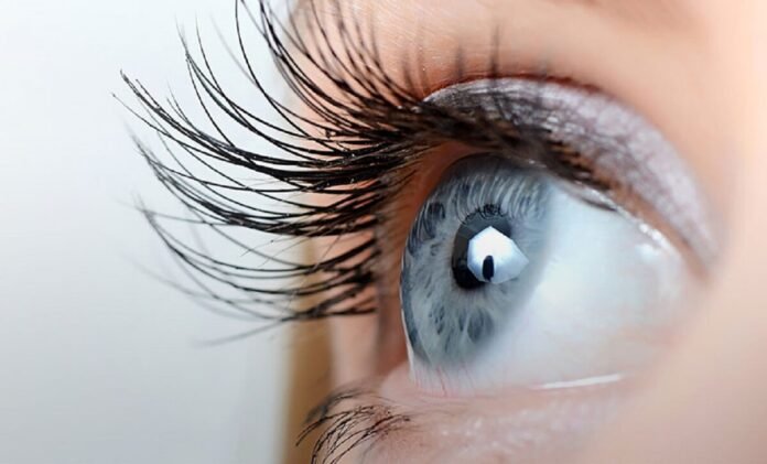 10 Tips for Maintaining Good Eye Health and Preventing Myopia
