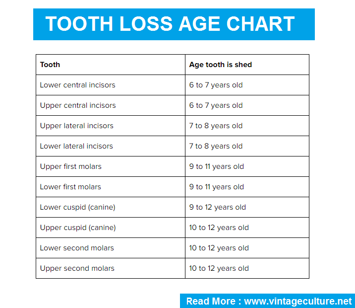 Order of Tooth Loss Order of Tooth Loss