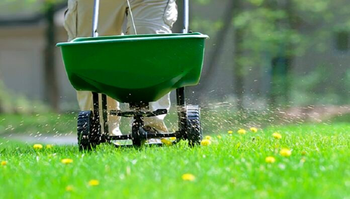 fertilizing lawn